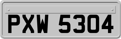 PXW5304