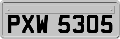 PXW5305