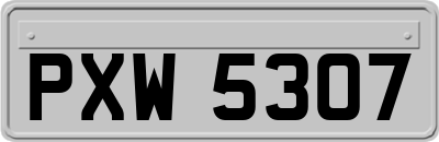 PXW5307