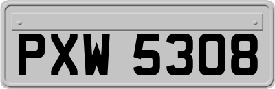 PXW5308