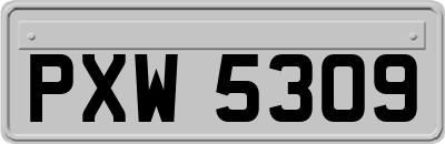 PXW5309