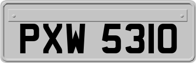 PXW5310