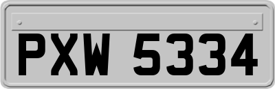 PXW5334