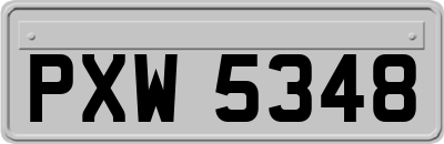 PXW5348