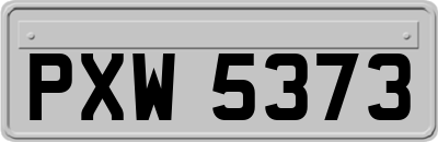 PXW5373