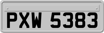 PXW5383