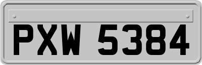 PXW5384