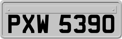 PXW5390