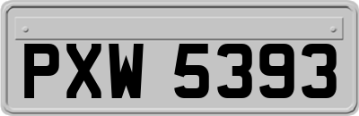 PXW5393