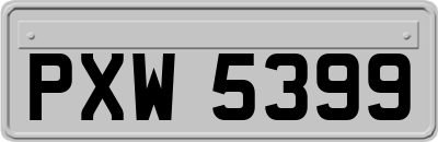 PXW5399