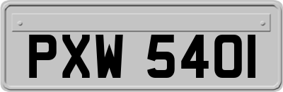 PXW5401