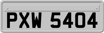 PXW5404