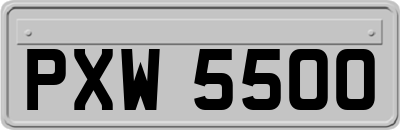 PXW5500