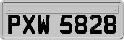 PXW5828