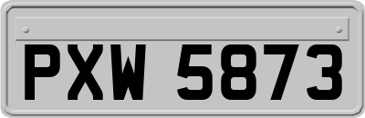 PXW5873