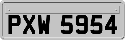 PXW5954