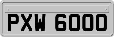 PXW6000