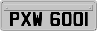 PXW6001