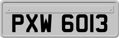 PXW6013