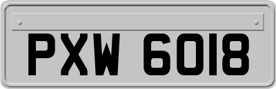 PXW6018