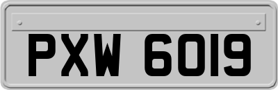 PXW6019