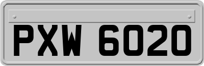 PXW6020