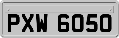 PXW6050