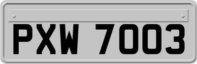 PXW7003