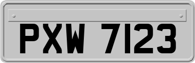 PXW7123