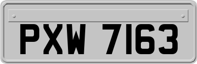 PXW7163