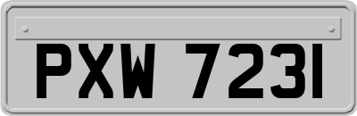 PXW7231