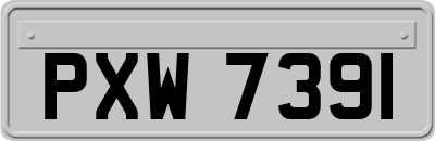 PXW7391