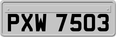 PXW7503