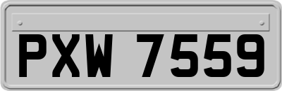 PXW7559