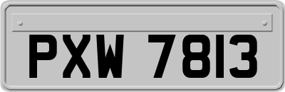 PXW7813