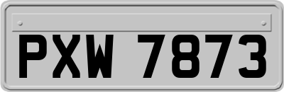 PXW7873