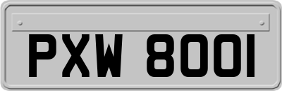 PXW8001