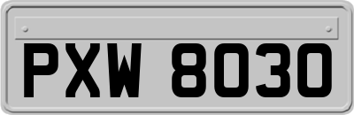 PXW8030