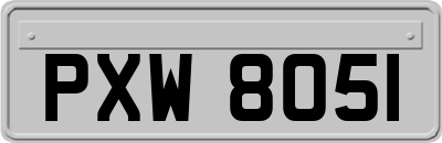 PXW8051