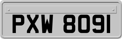 PXW8091