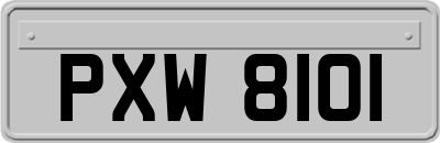 PXW8101