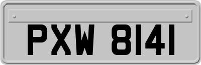 PXW8141