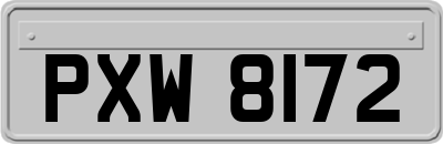 PXW8172