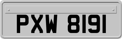 PXW8191