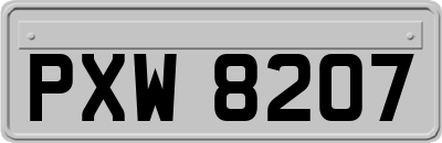 PXW8207