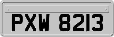 PXW8213