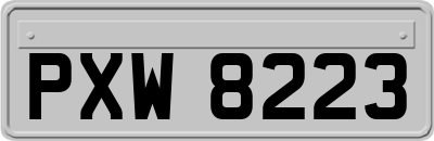 PXW8223