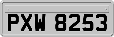 PXW8253