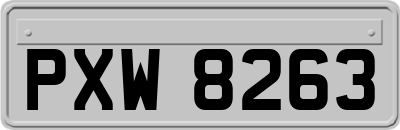 PXW8263