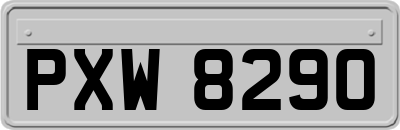 PXW8290